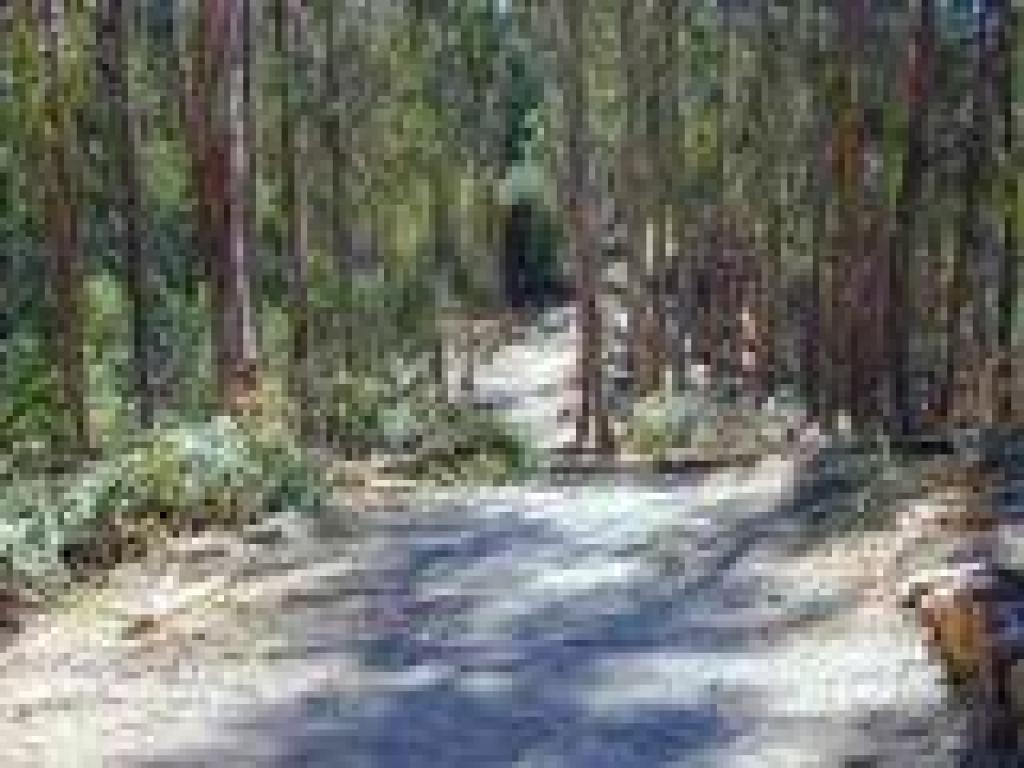 Downhill to a junction