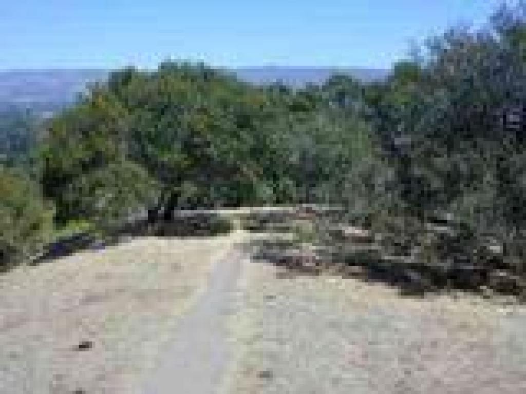 Downhill