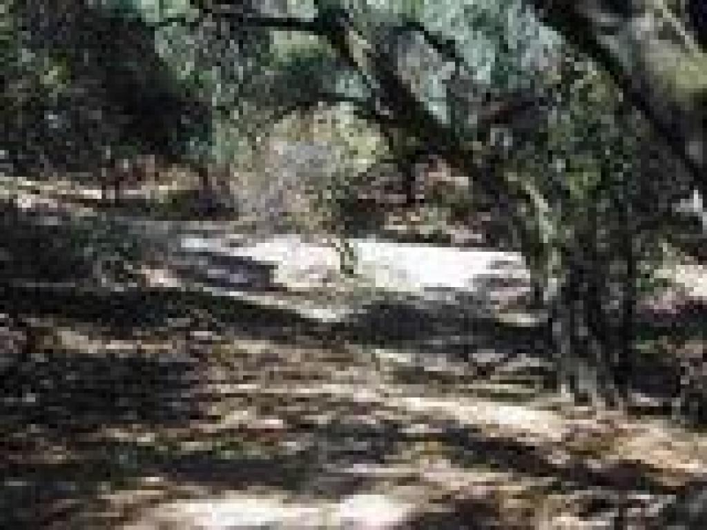 Heading back to the fire road