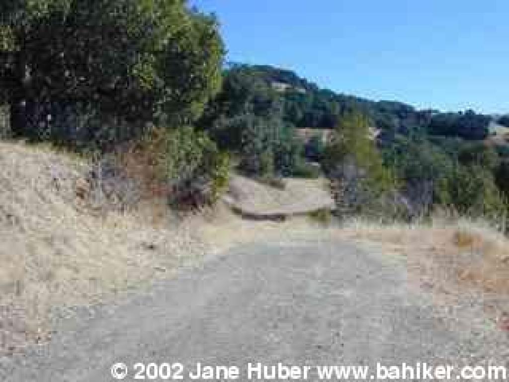 White Hill Fire Road
