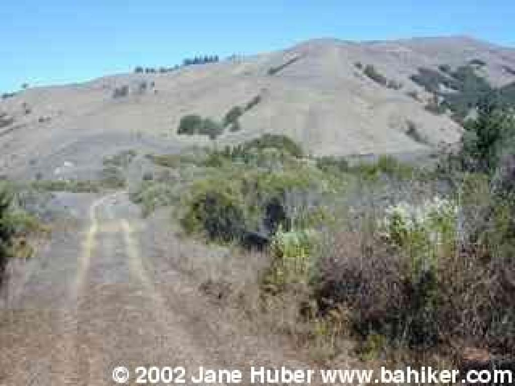 Sherwood Forest Fire Road