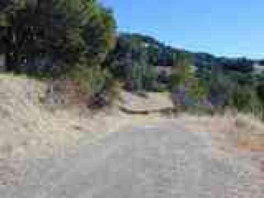 White Hill Fire Road