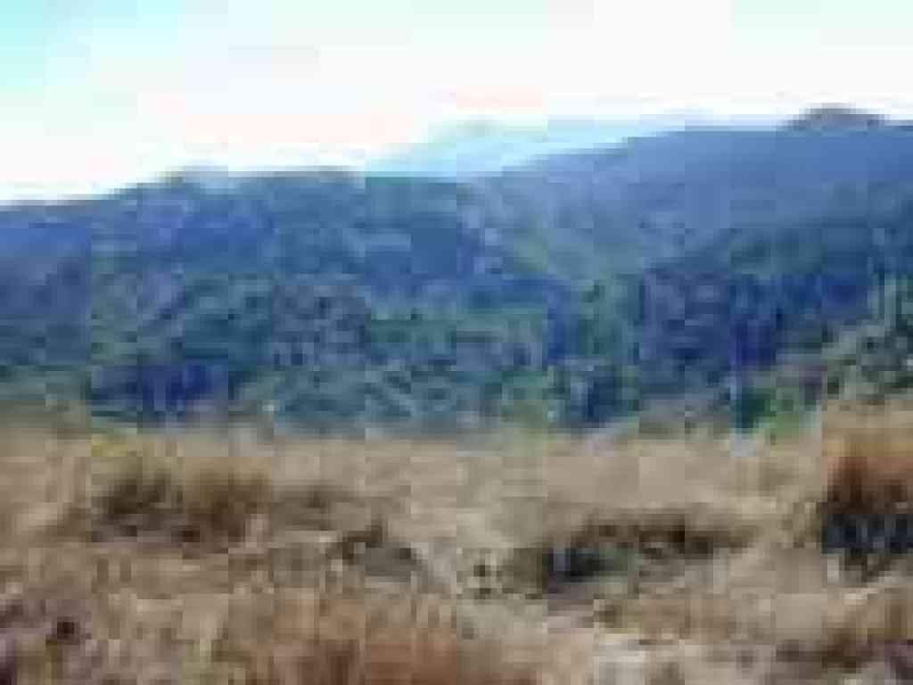 View south to Mount Tamalpais