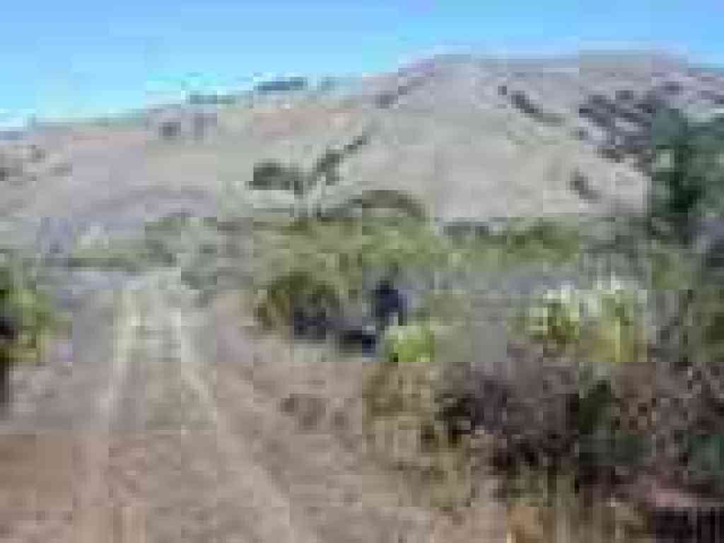 Sherwood Forest Fire Road