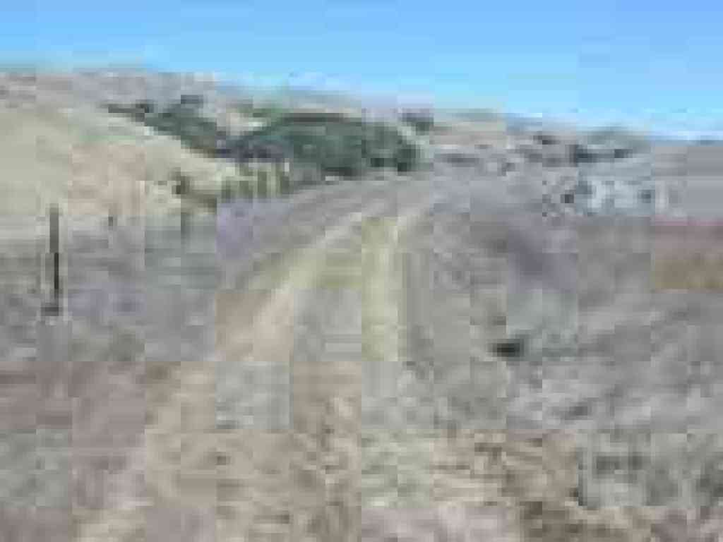 Through grassland