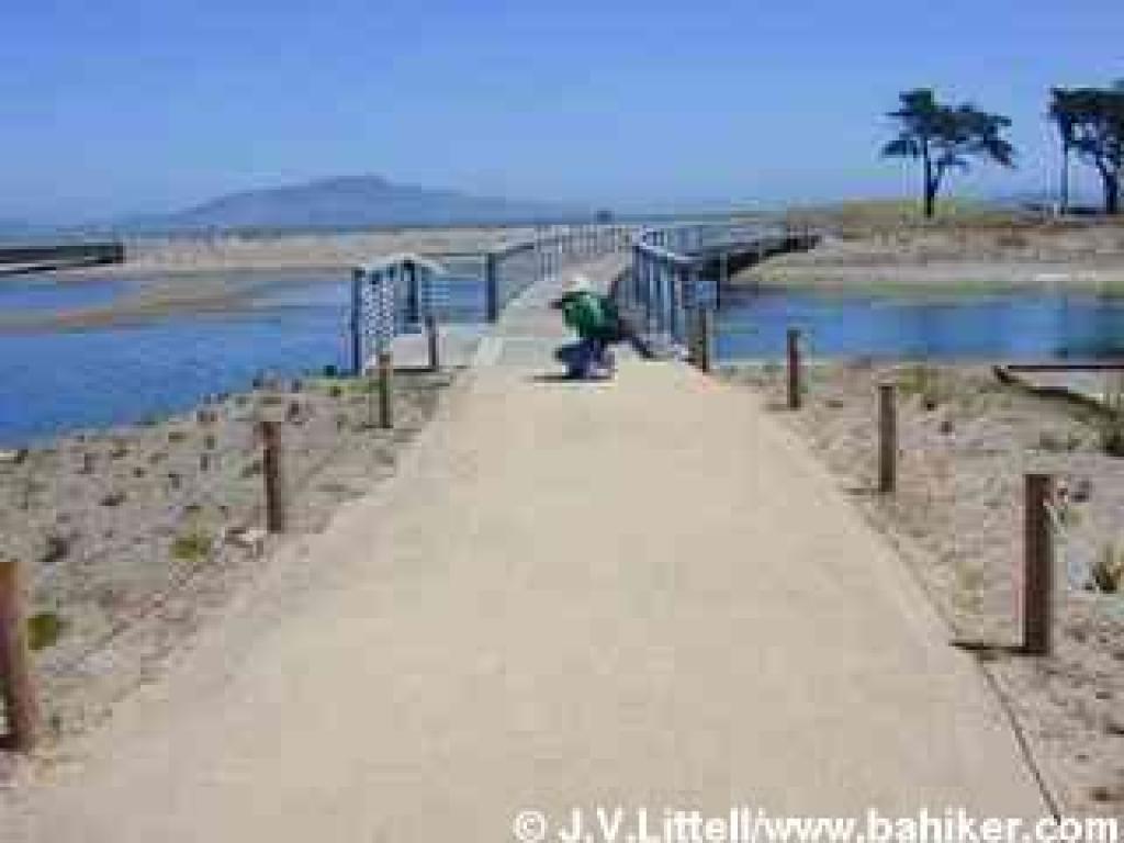 Bridge across the marsh