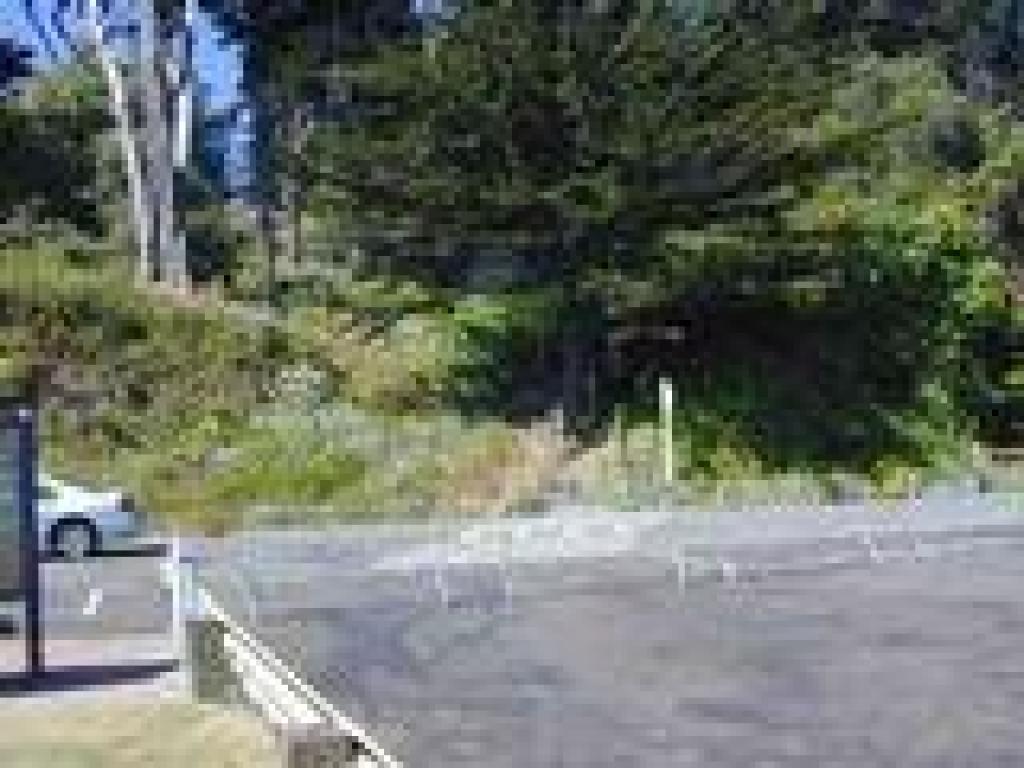 Trail to bridge