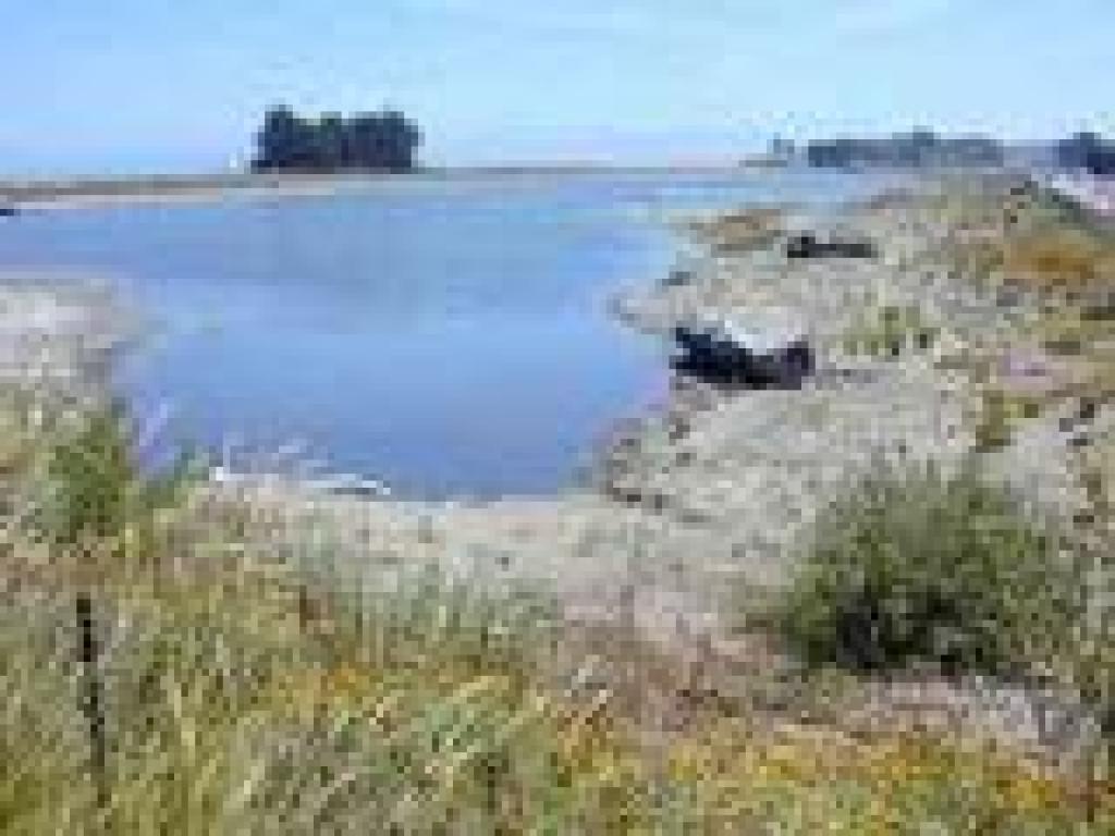 South edge of the marsh