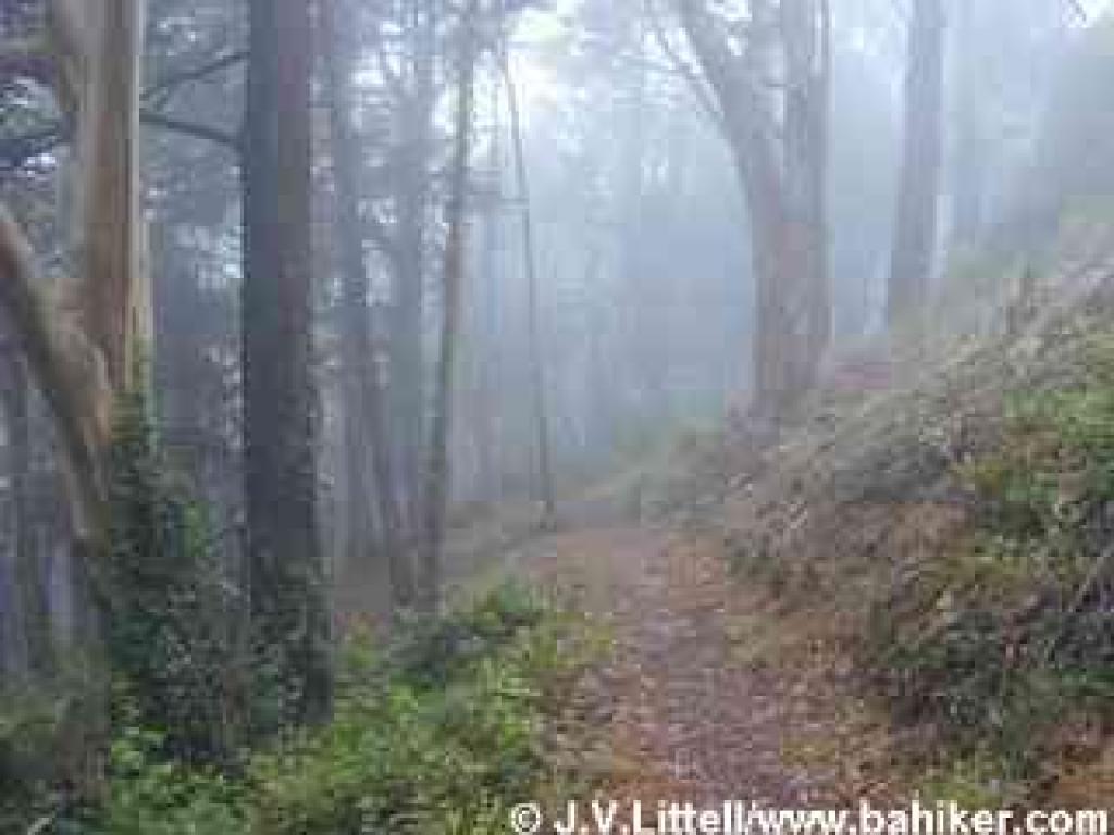 Mount Davidson Park, San Francisco