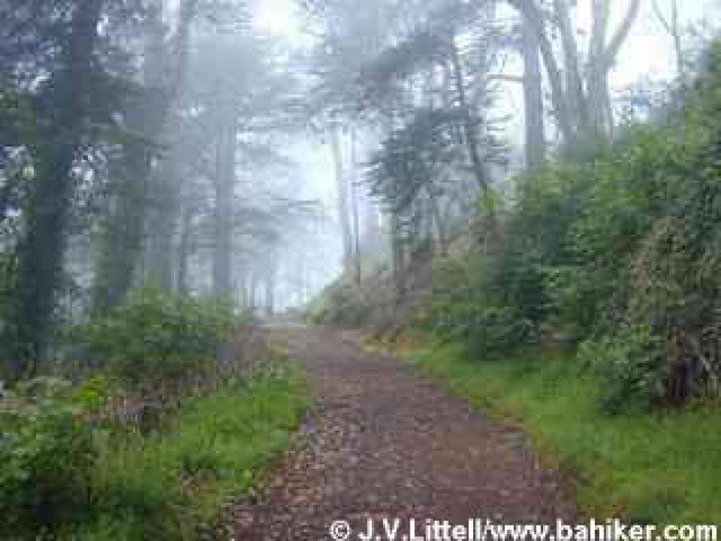 The main trail at Mount Davidson