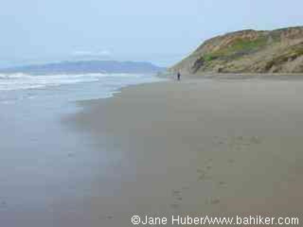 Walking on the beach