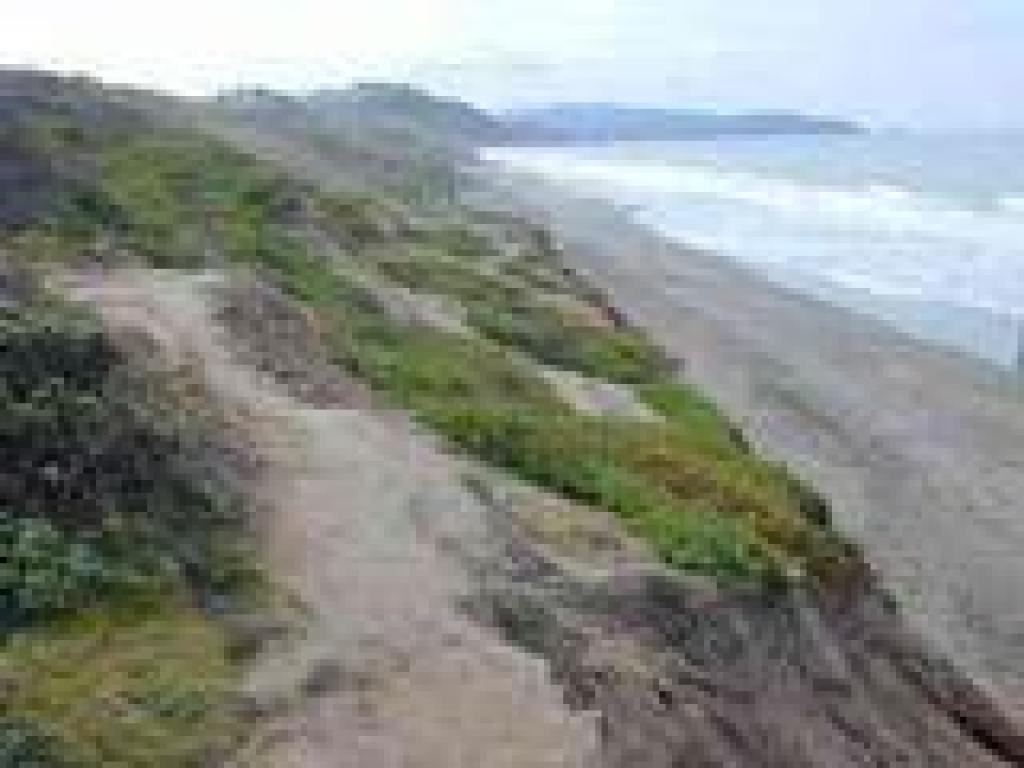 Trail