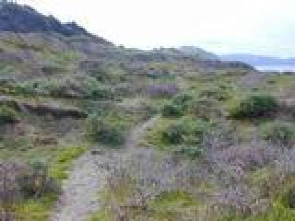 Trail