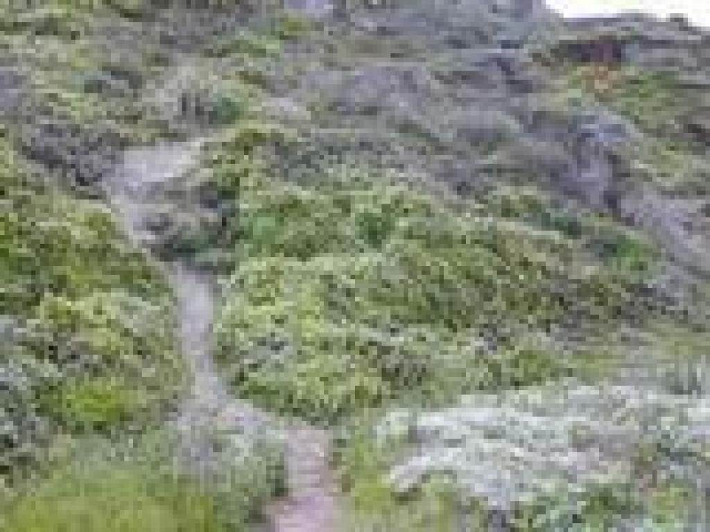 Junction; bear right