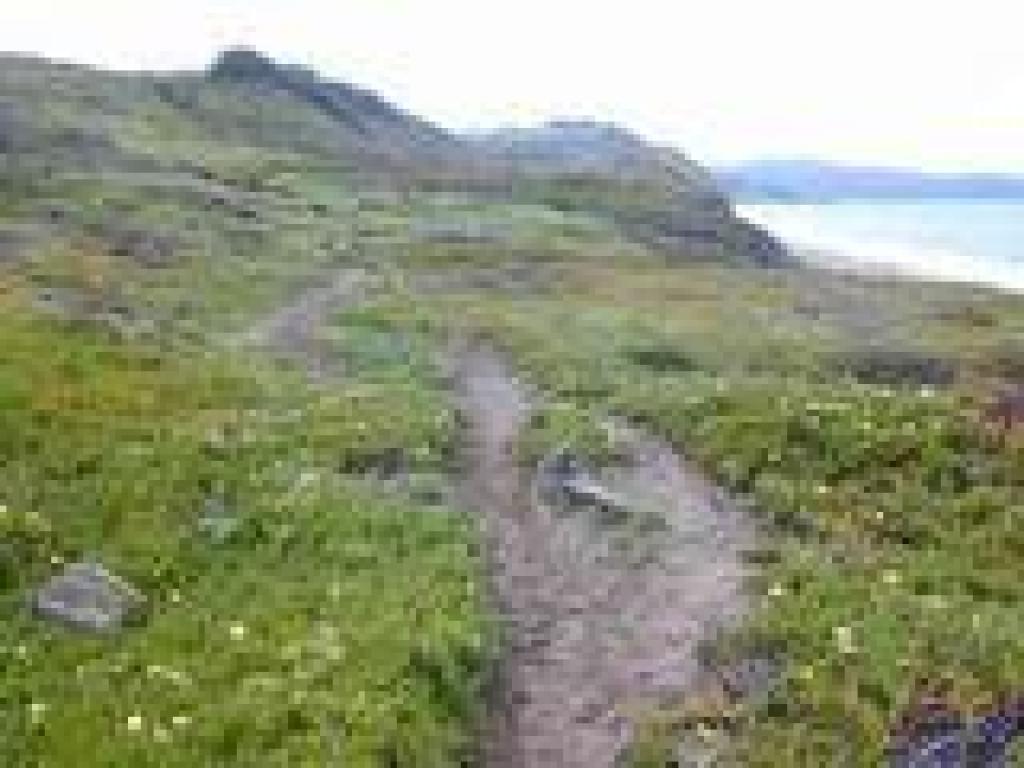 Trail