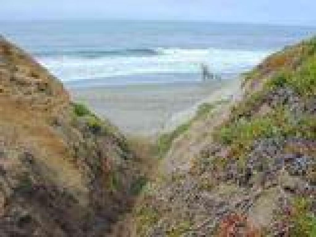The beach