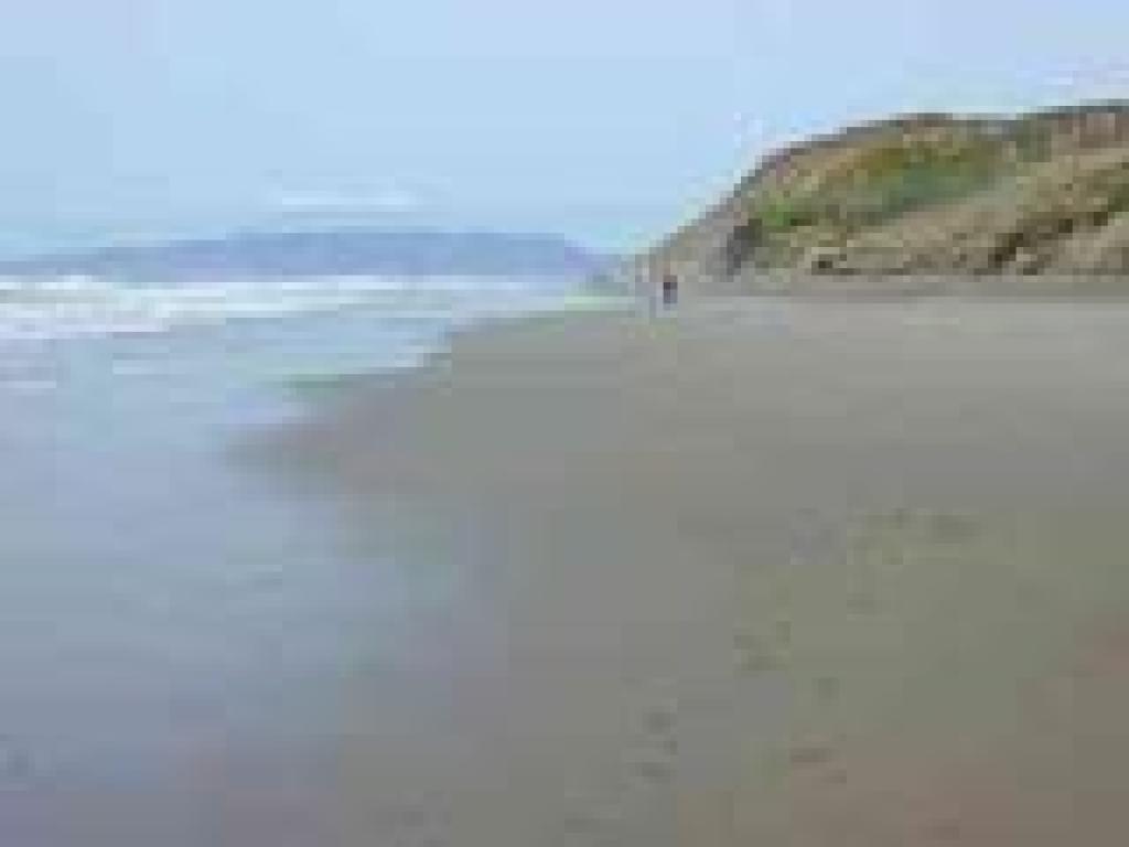 North