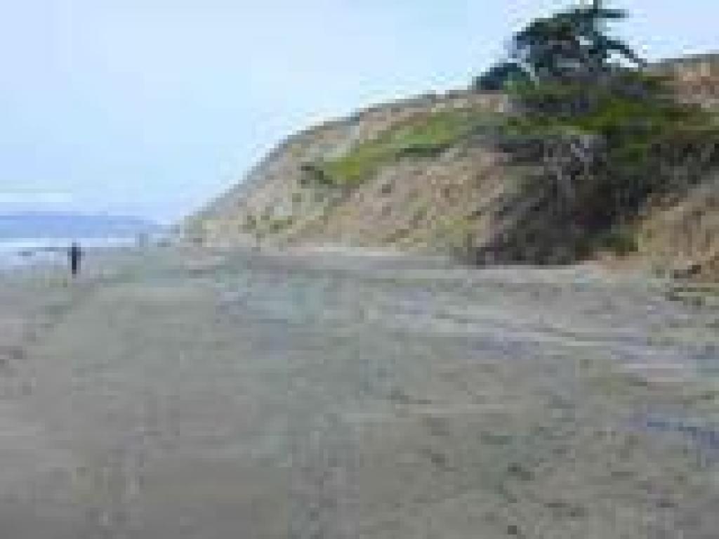 Near the cypress tree a path heads back to Sand Ladder