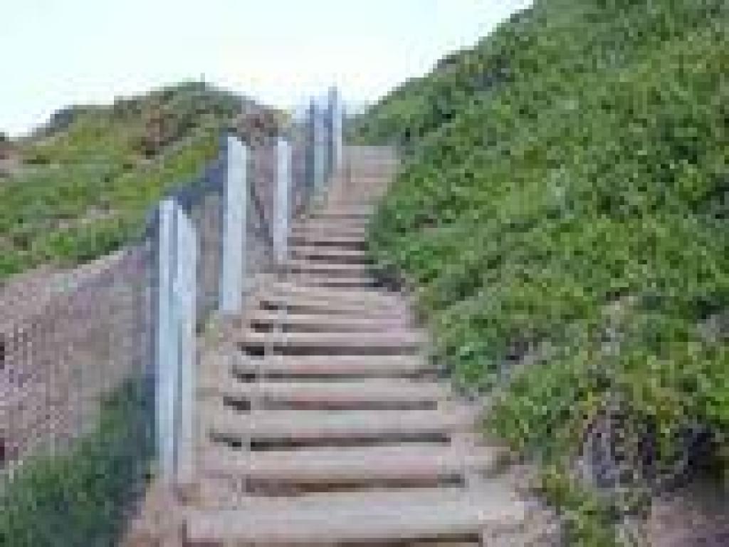 Ascending Sand Ladder 