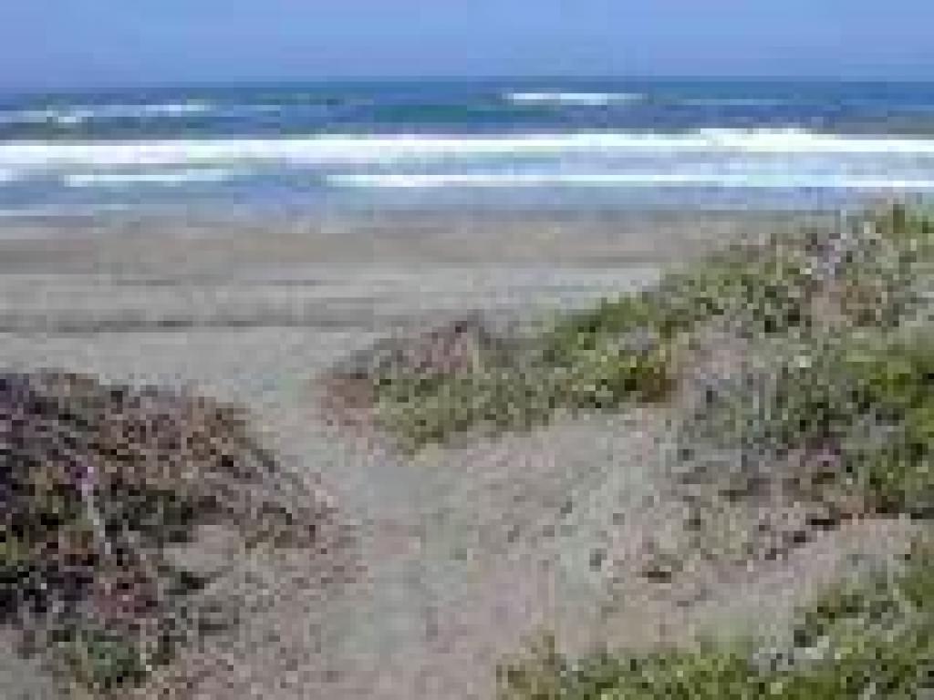 Trail ends at the beach