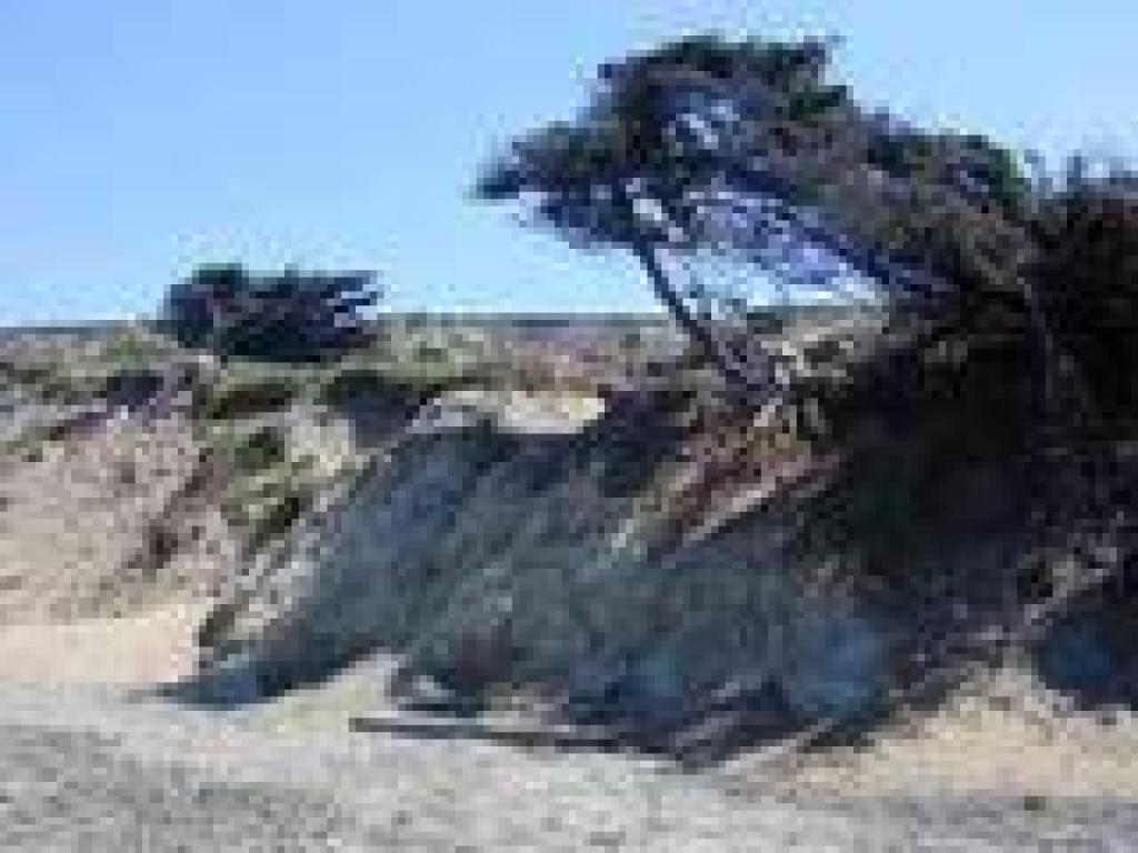 Junction with path back uphill