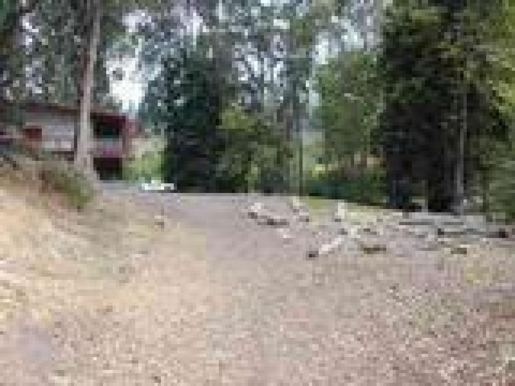 Day camp