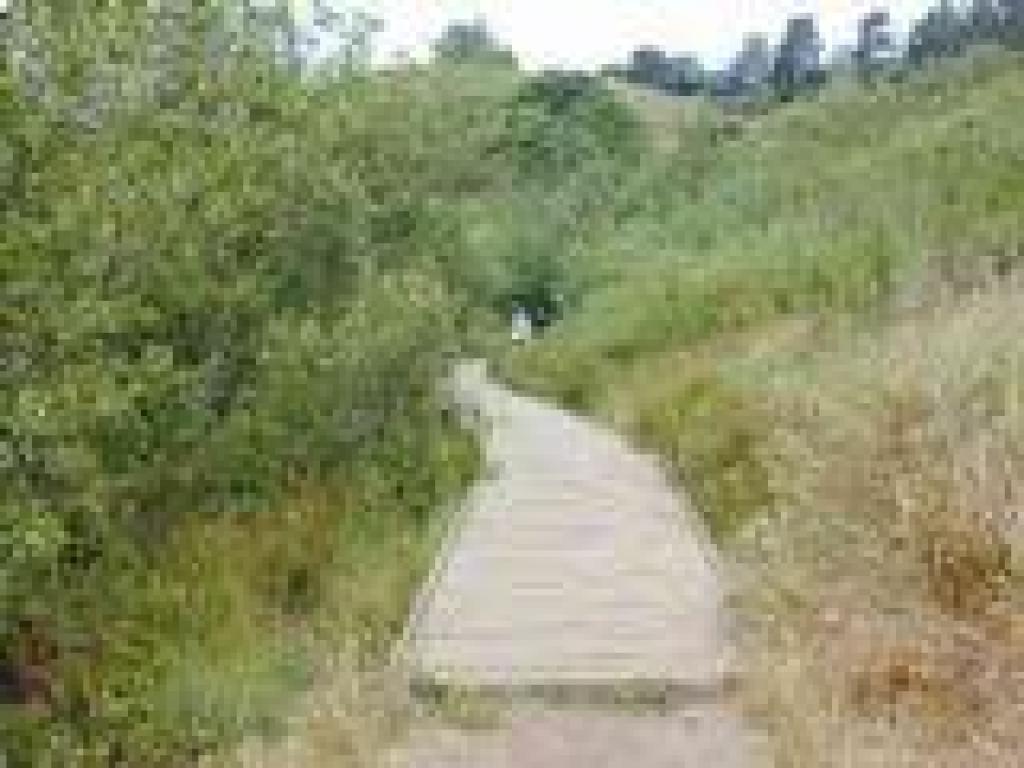 Boardwalk