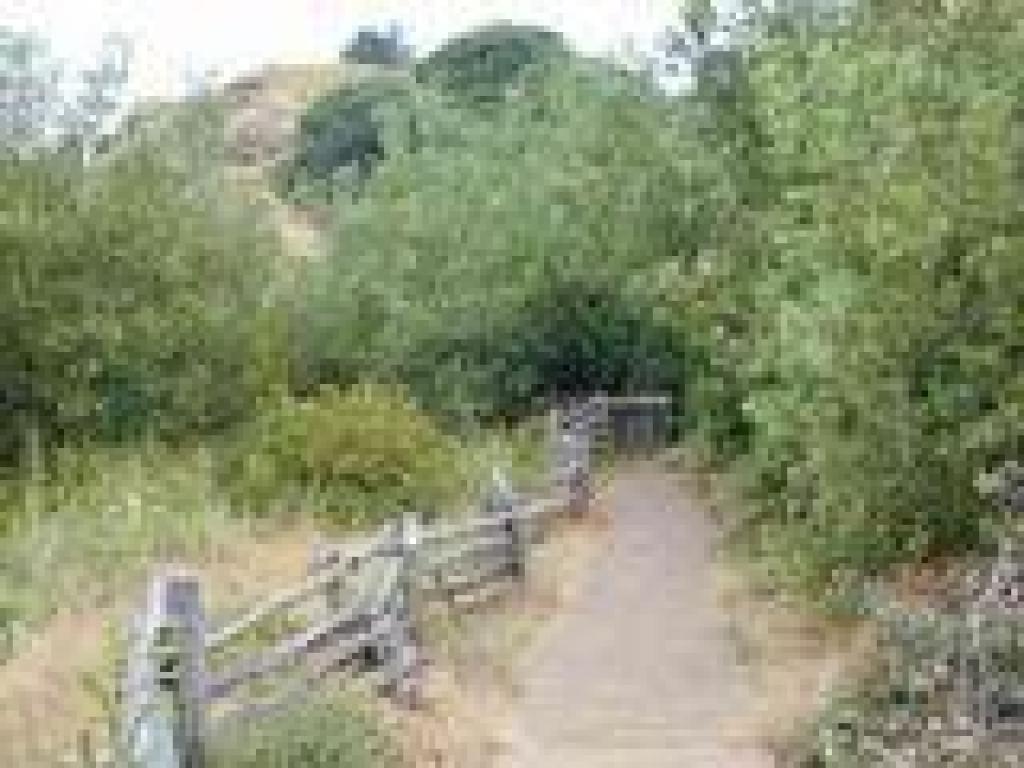 Along the creek
