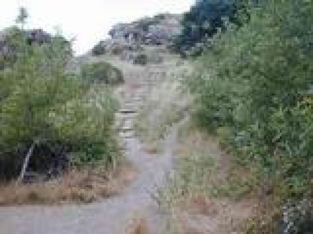 Steps