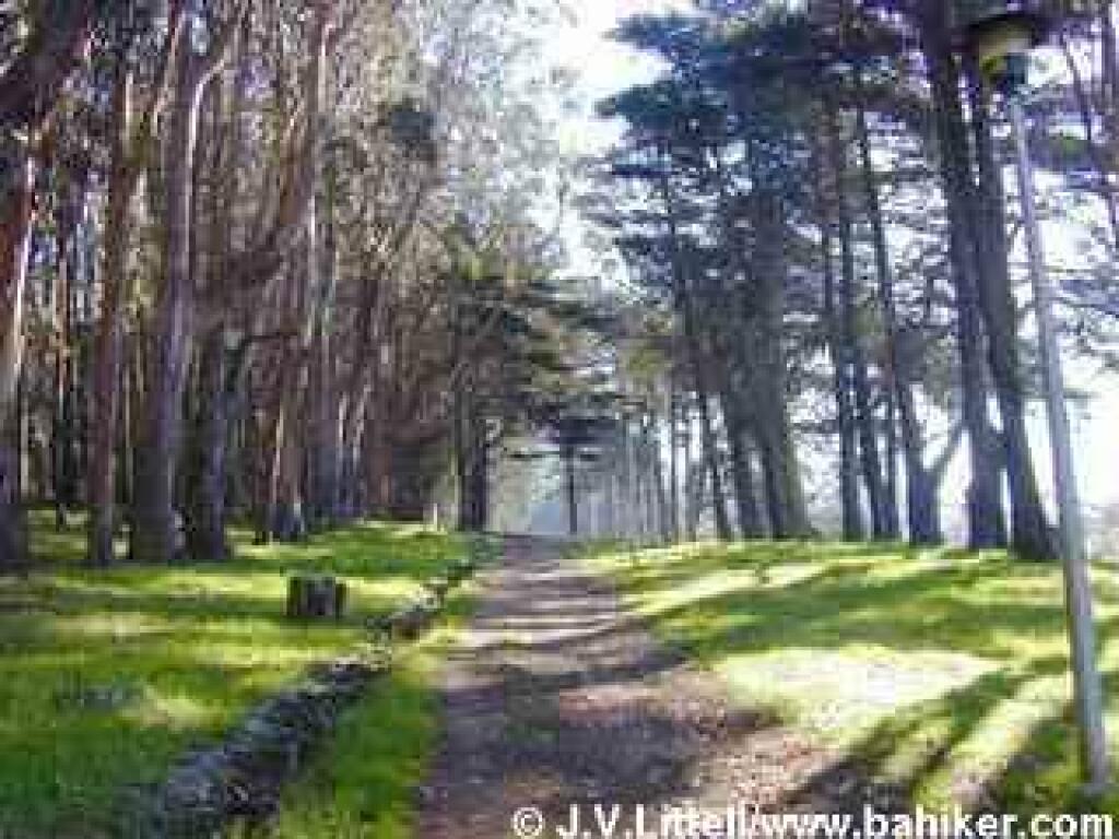 Lovers' Lane