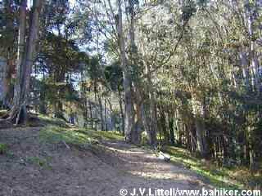 Ecology Trail