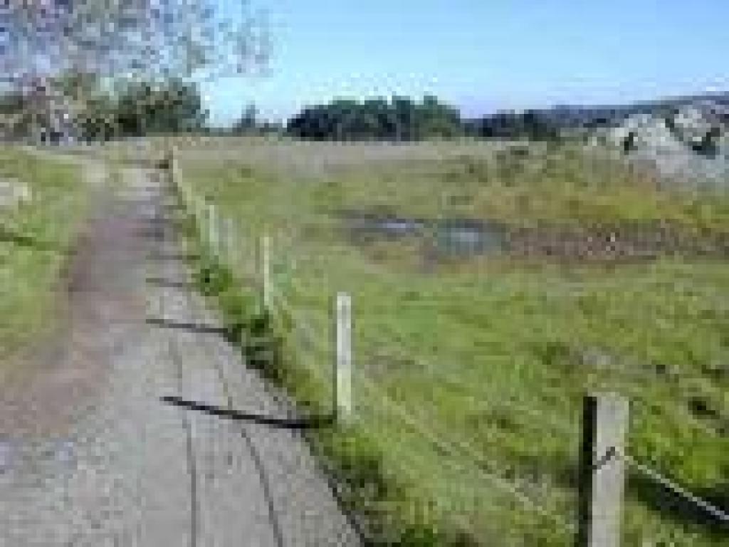 Serpentine area