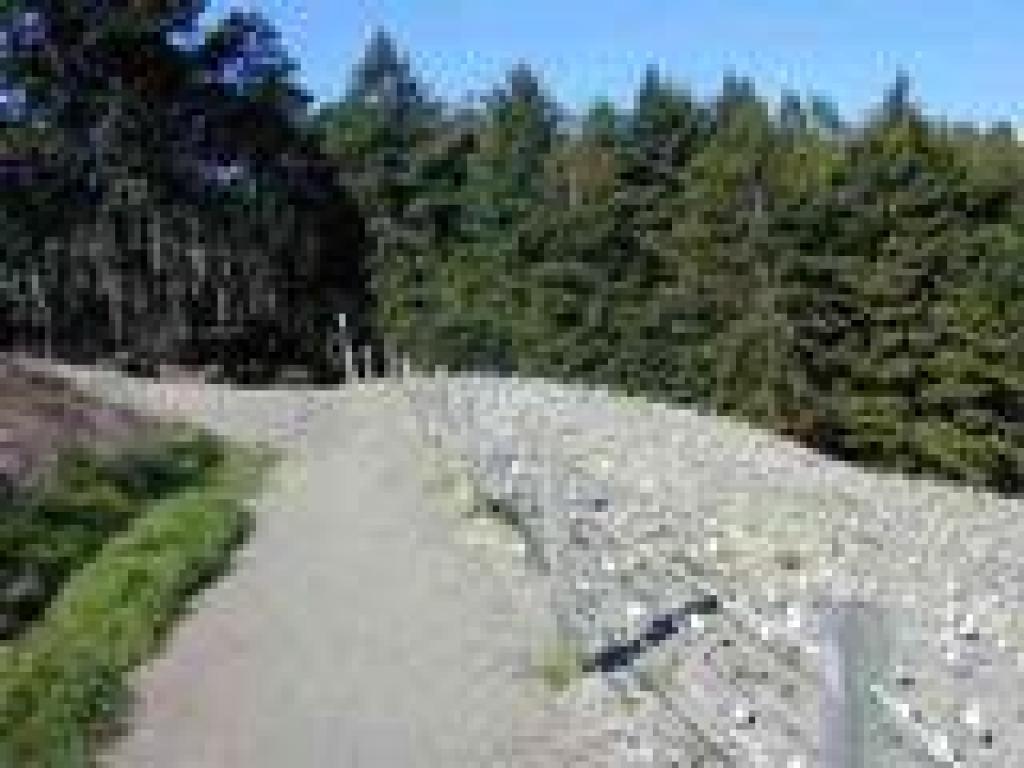 Restoration area