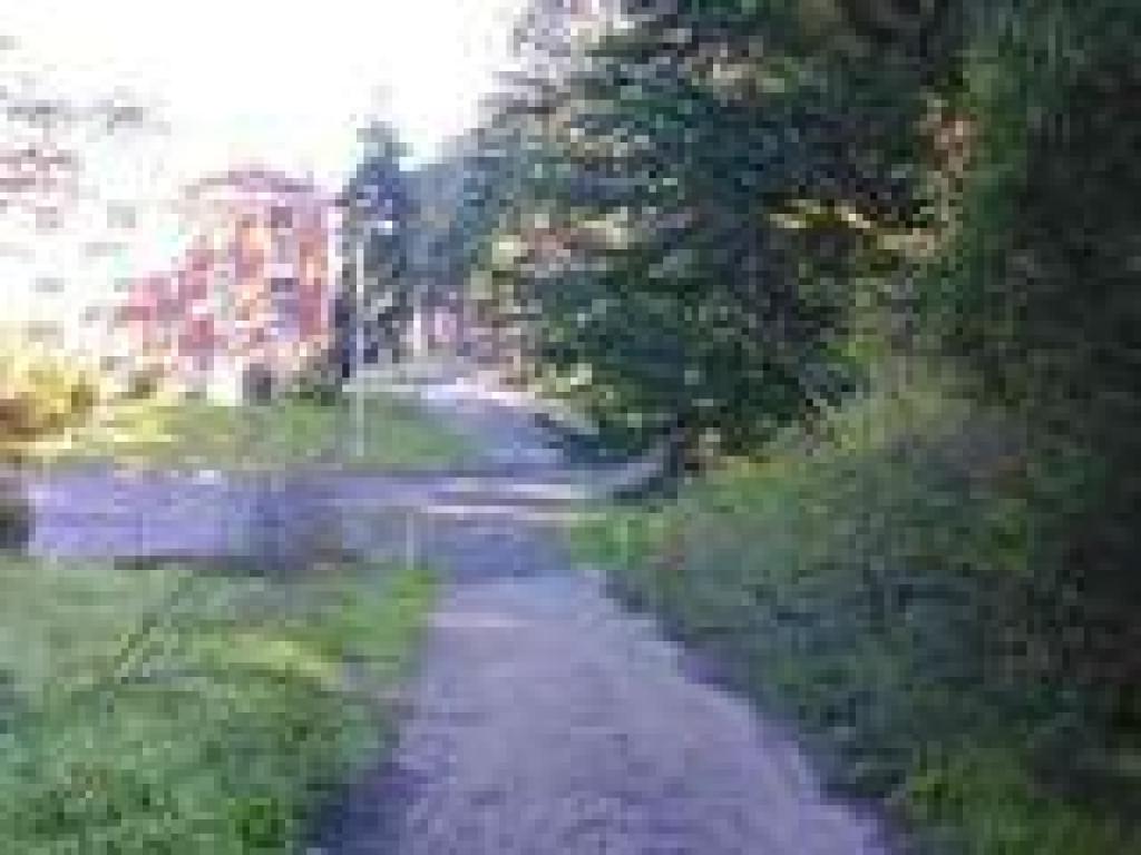 Approaching the street