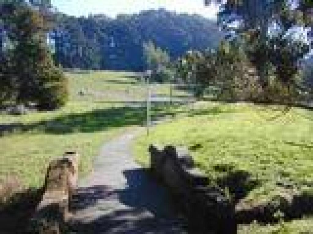 Tennessee Hollow