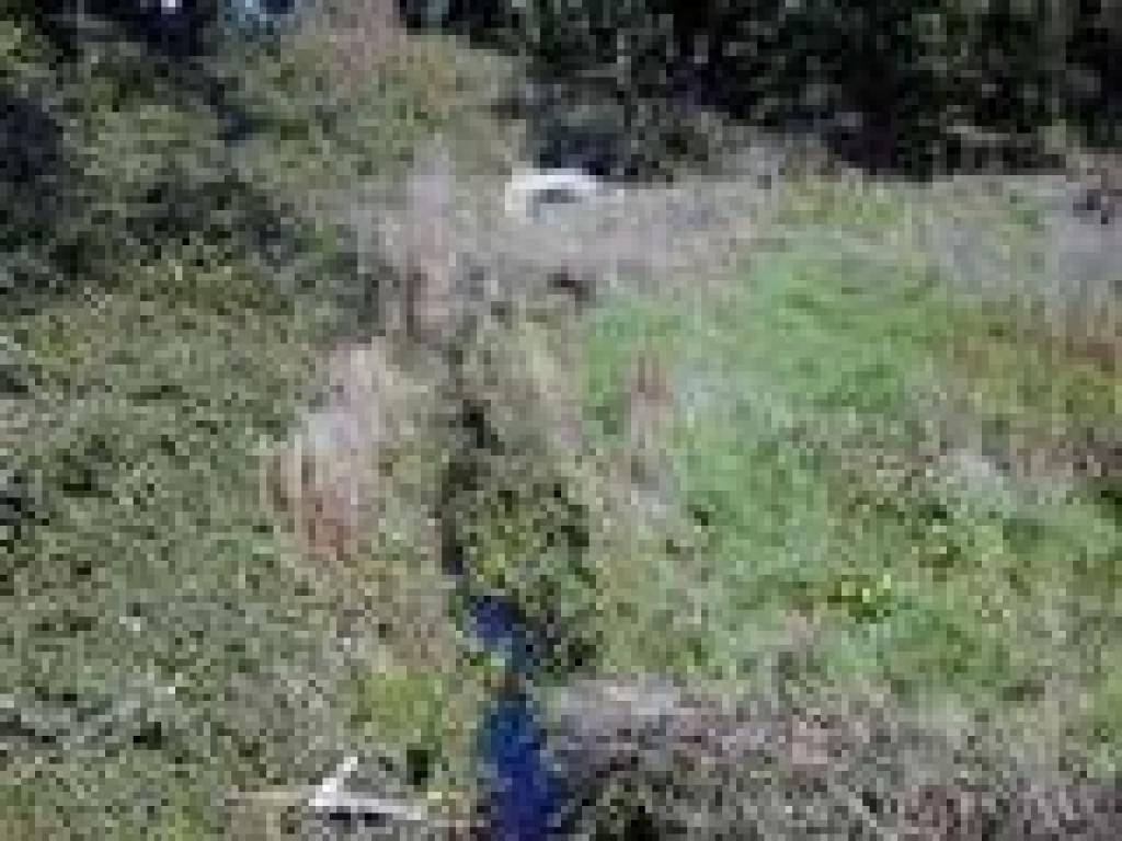 Creeklet