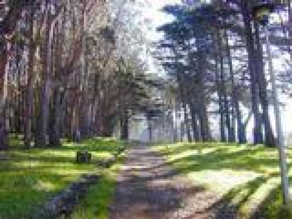 Lovers' Lane