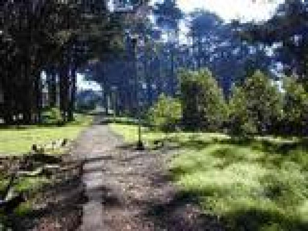 Approaching junction
