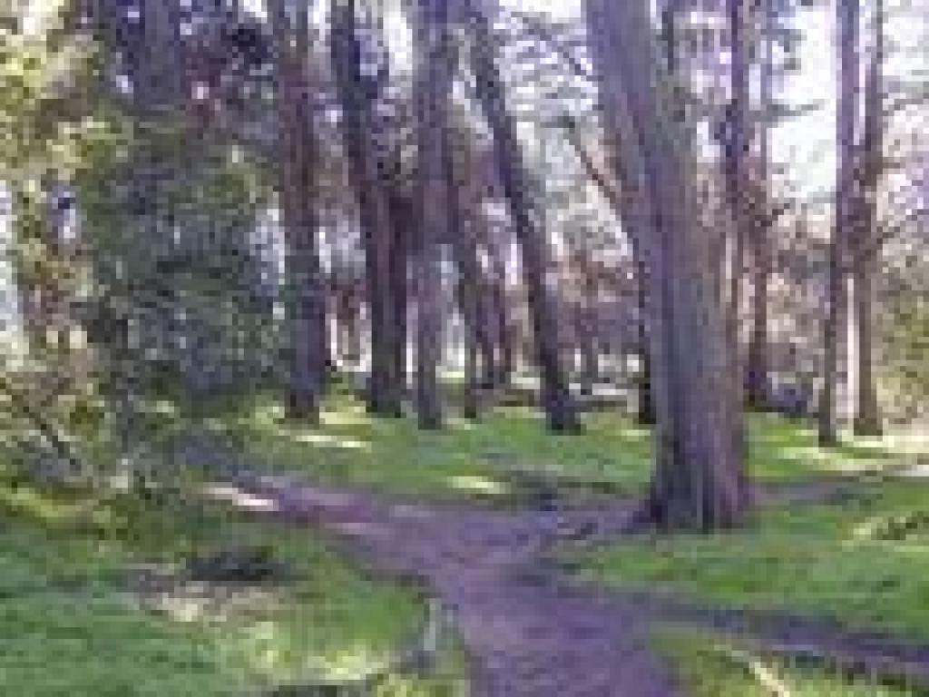 Paths