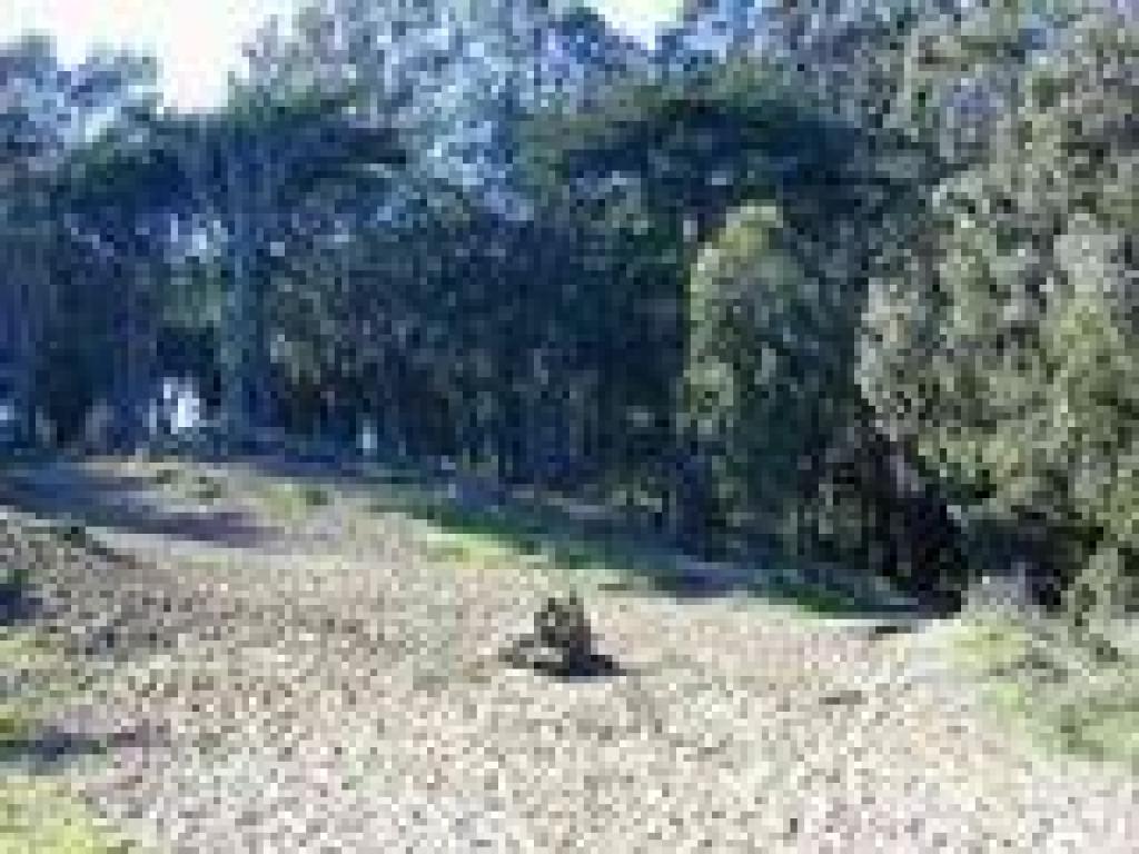 Sandy area