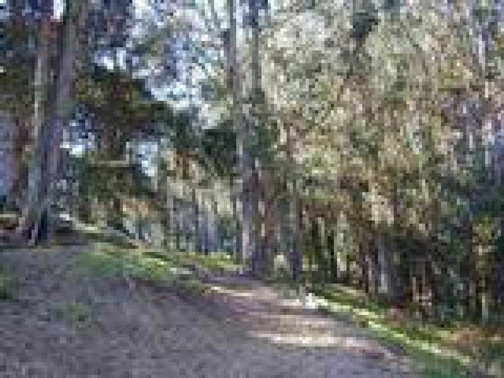 Ecology Trail