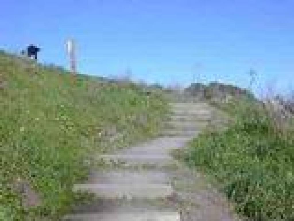 Return to the trailhead