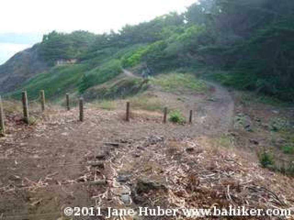 Coastal Trail