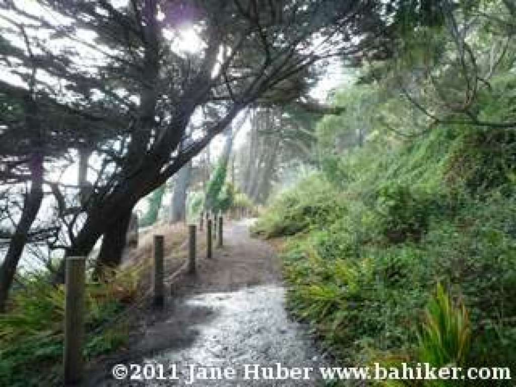Coastal Trail