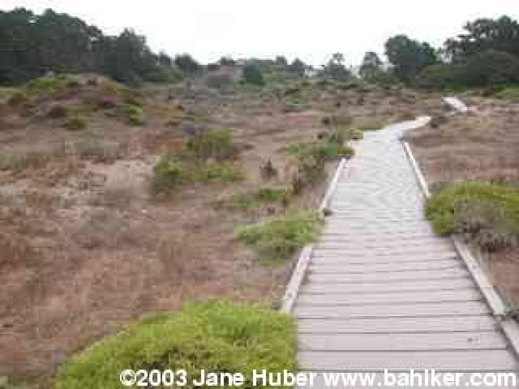 Lobos Creek Trail