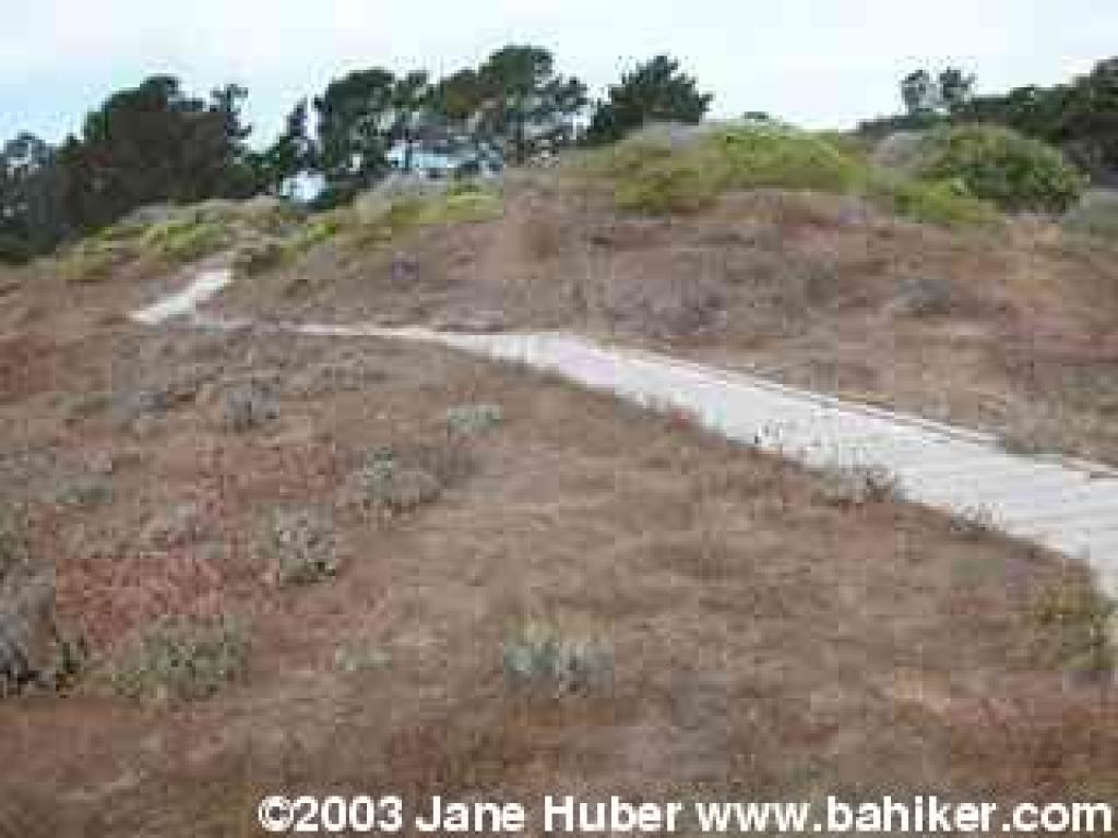 Lobos Creek Trail