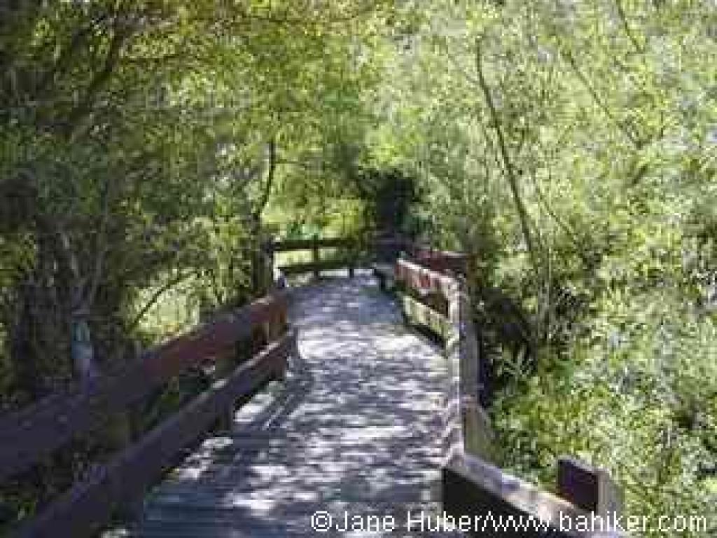 Elevated walkway