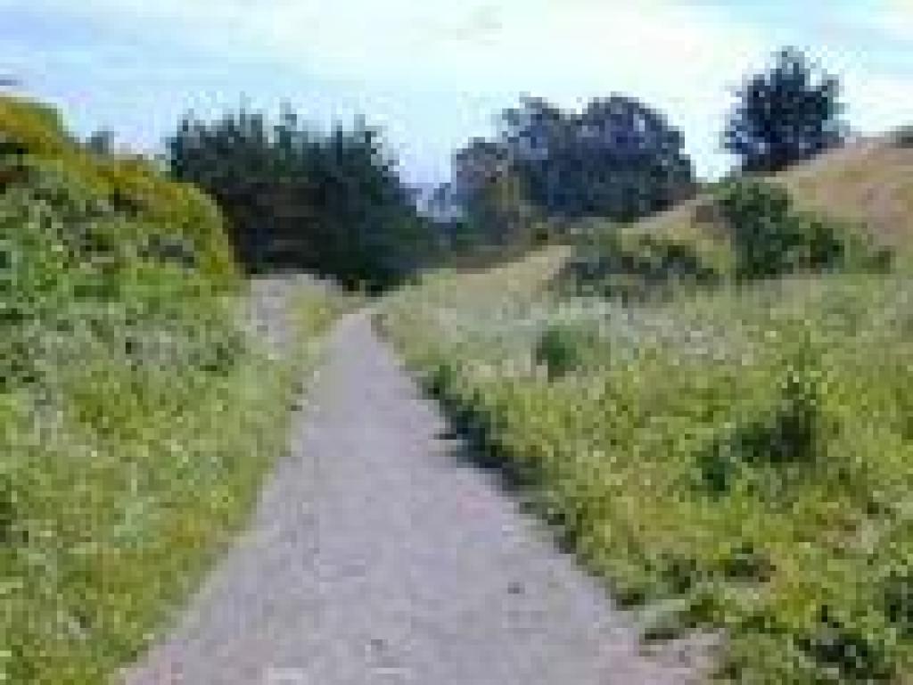 Trail