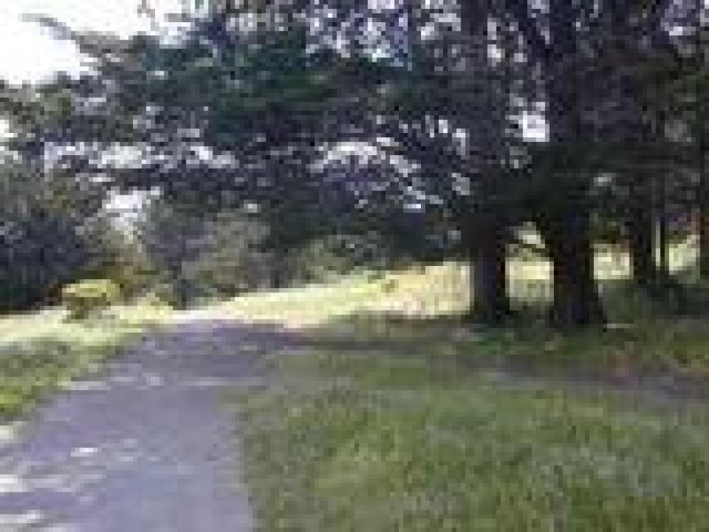 Junction