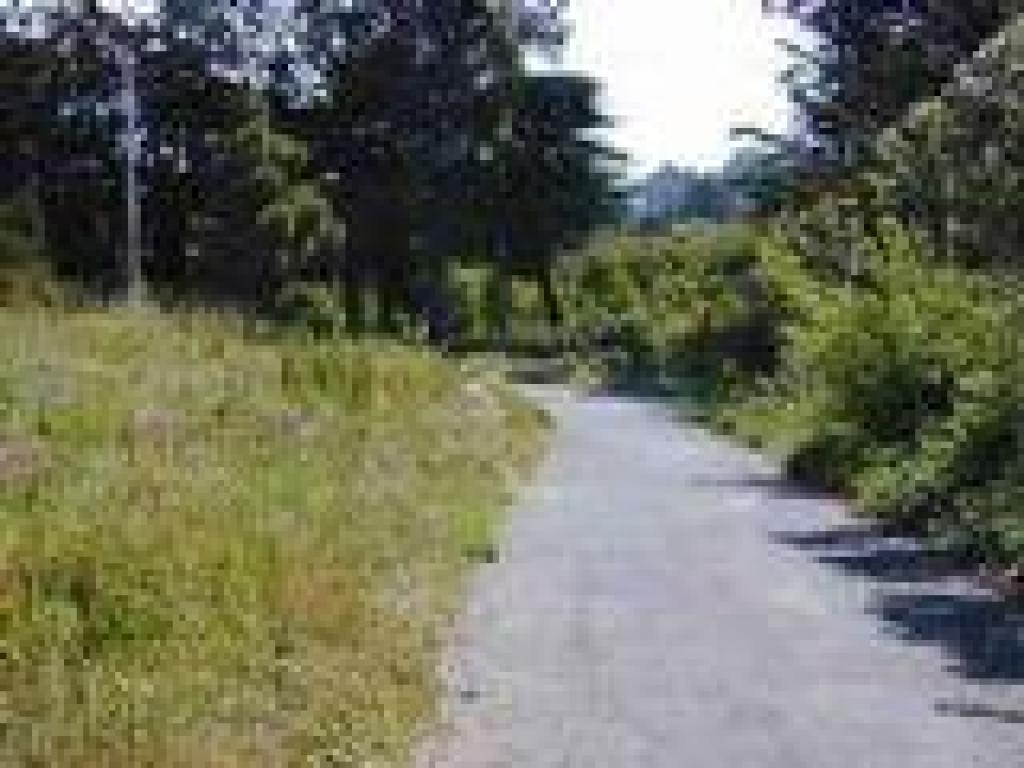 Paved stretch